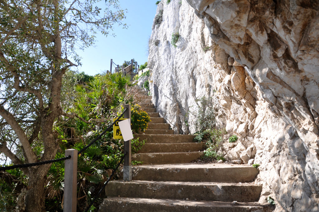 mediterranean steps climbing up the cliff